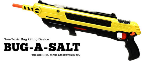 bugasalt.jpg